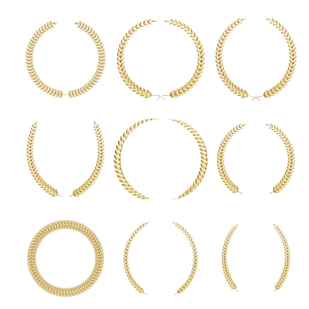 Set of golden laurel wreath for logo isolated on the white background.