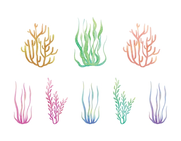 グラデーション海藻サンゴ水中パステル水彩グラフィック 02 のセット