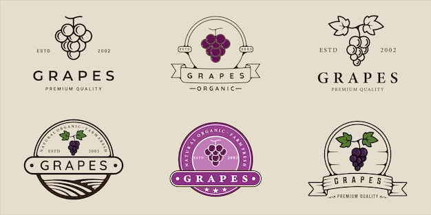 Set of grape logo line and vintage vector illustration template icon graphic design bundle collection of various organic fruit sign or symbol for farm product and food or drink business