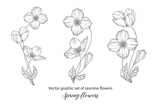 A set of graphic flower compositions with  flowers.