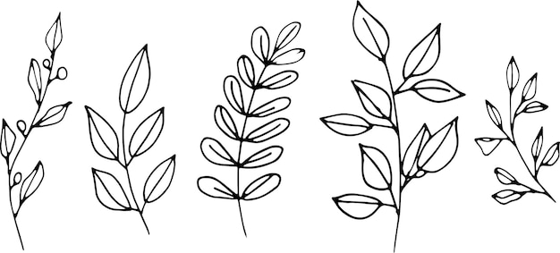 Set of graphic vector plant branches with leaves and flowers