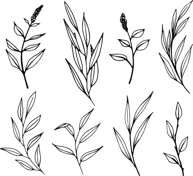 Vector set of graphic vector plant branches with leaves and flowers