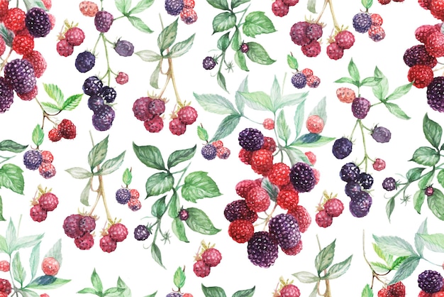 set graphic with flowers and berries drawn illustration  blackberries currants leaves branches