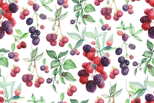 Vector set graphic with flowers and berries drawn illustration  blackberries currants leaves branches