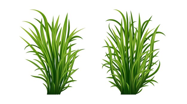 A set of grass clipart