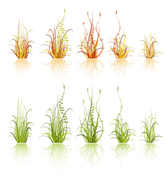 Set of grass