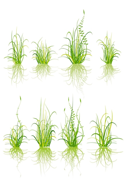 Set of grass