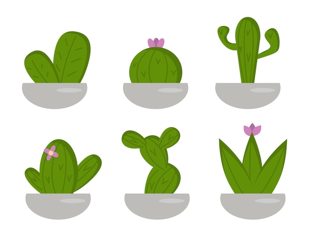 Set of green cacti in flat style pots vector image