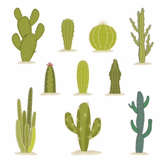 Set di cactus verdi in stile piatto