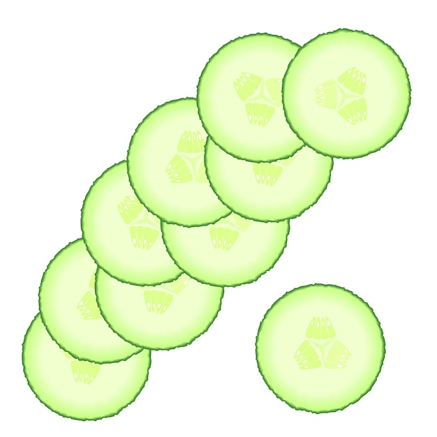 Set of green cucumber slices Illustration of vegetables isolated