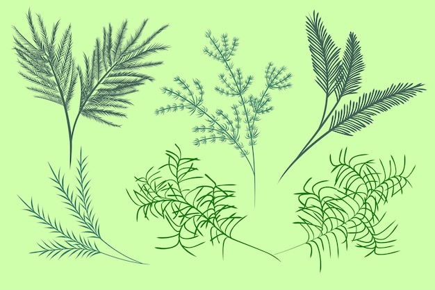 Vector set of green decorative twigs for design. botanic composition