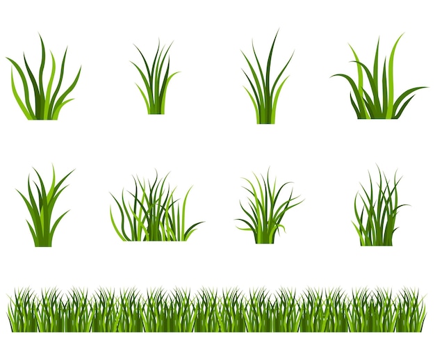 Set of green grass in flat design herb in the yard of the house or field