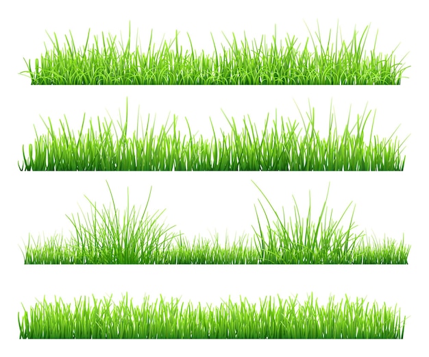 Set of green grass, isolated on white background. illustration