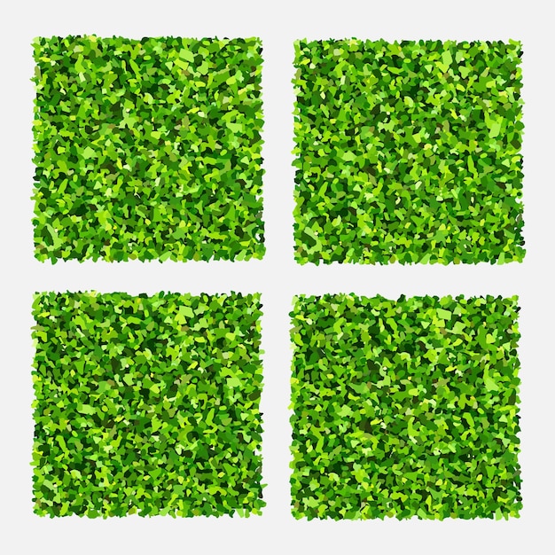 Set of green grass Realistic green lawn pattern and texture for background