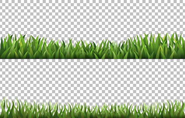 緑の草の透明な背景のセット