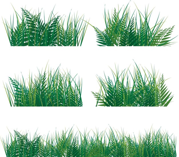 Vector set of green grass