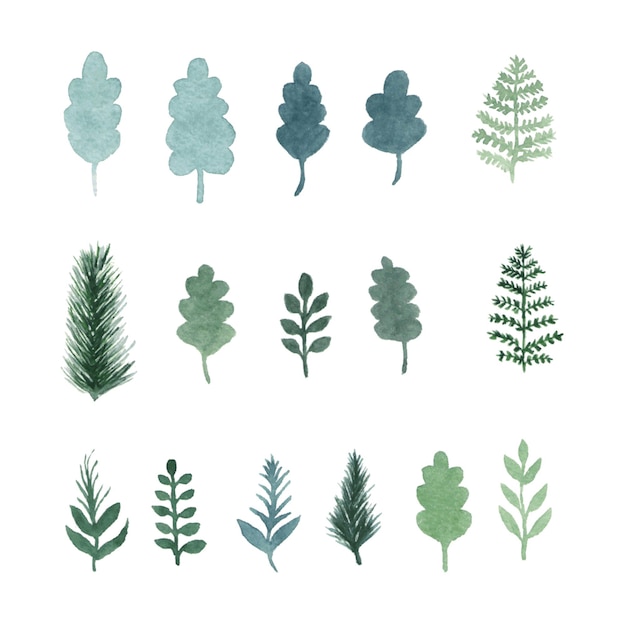 Set of green hand draw watercolor leaves, plants, herbs and tree branches. vector isolated objects. elements of the forest