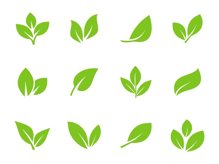 Vector 緑の葉のアイコンのセットの葉アイコン木や植物の葉