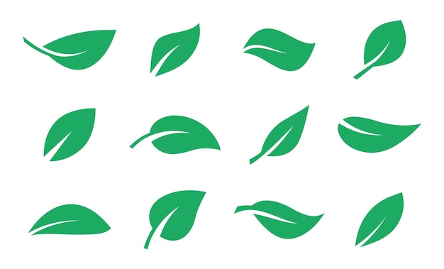 Set of green leaf icons Leaves of trees and plants Leaves icon Collection green leaf Elements design for natural eco bio vegan labels Vector illustration