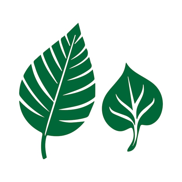 Vector set of green leafs