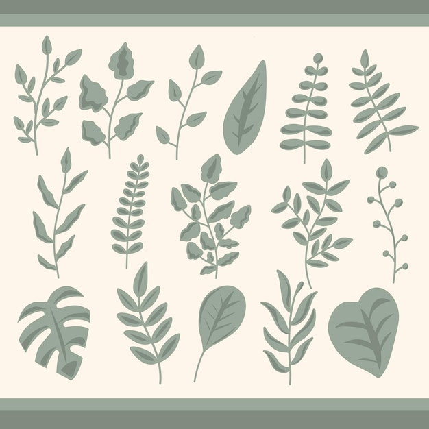 Vector set of green leaves in different types