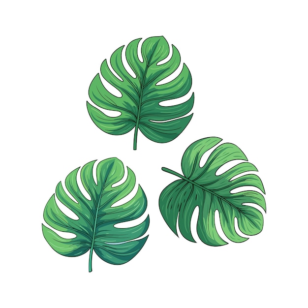 set of green leaves free vector design