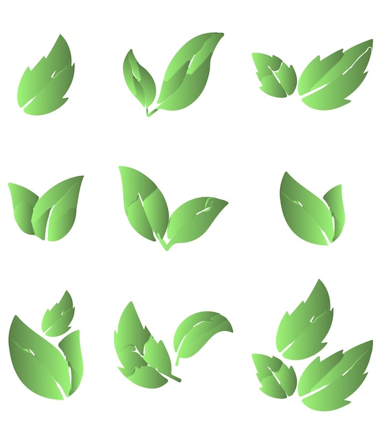 Set of green leaves