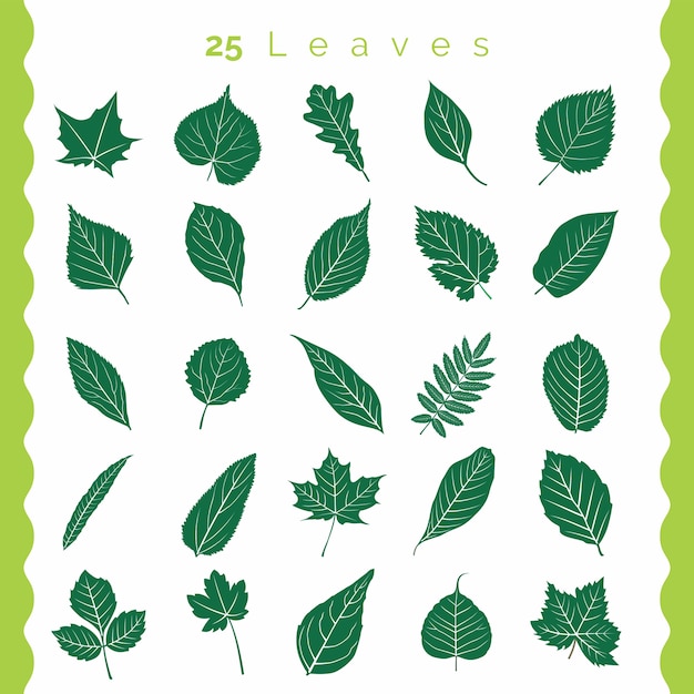 Vector set of green leaves