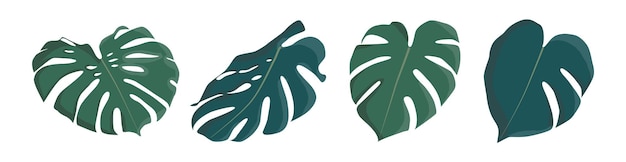 Set of green monstera leaves Flat design stickers Group of icons illustration isolated