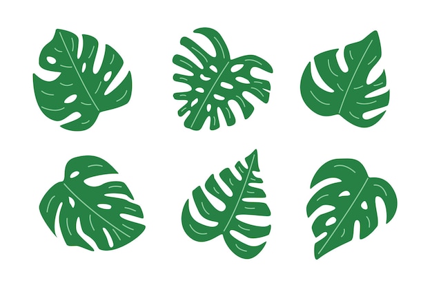 Set di foglie verdi di monstera, pianta della giungla tropicale. illustrazione vettoriale in uno stile piatto.