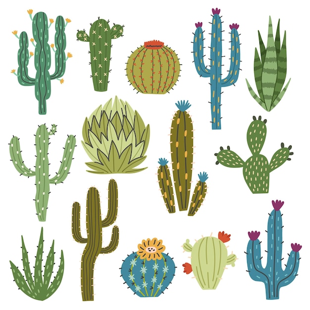 Vector set green multicolored cactus plants aloe succulents