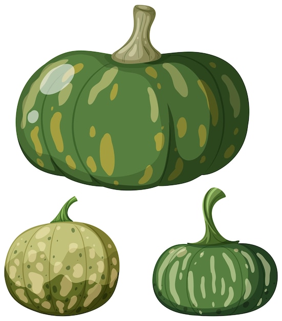 Vector set of green pumpkins vector