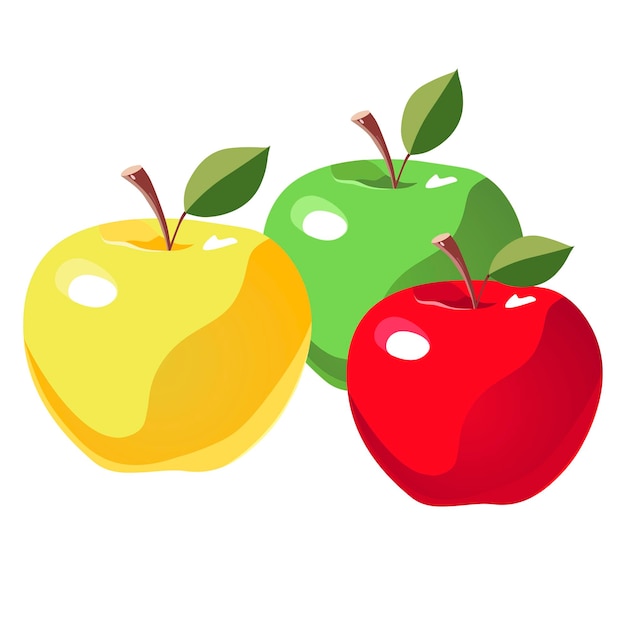 Set of green red and yellow apples Isolated vector fruit in flat style Summer clipart for design