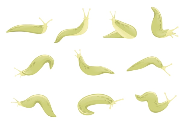 Set of green slug cartoon animal design flat vector illustration isolated on white background