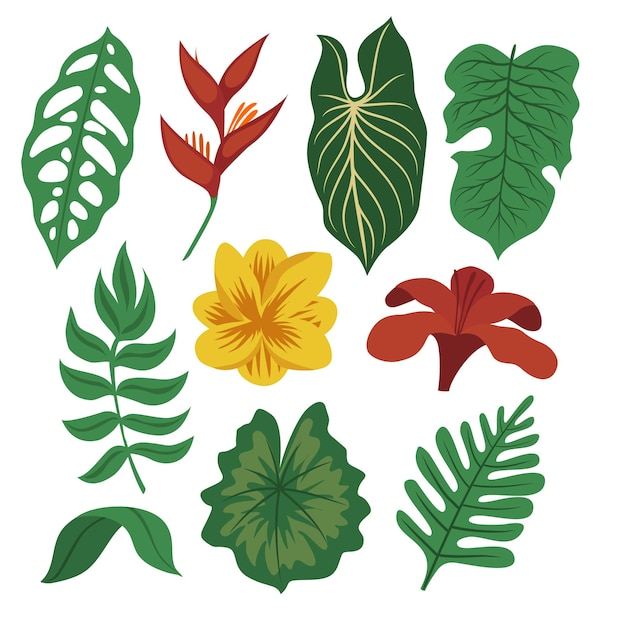 Vector set of green tropical flower, foliage collection with colorful floral botanical bundle element