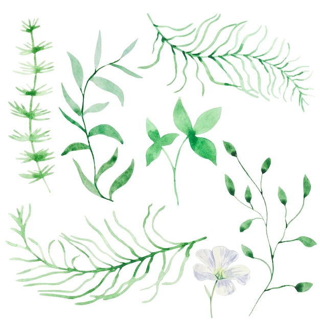 녹색 수채화 숲 잎의 세트
