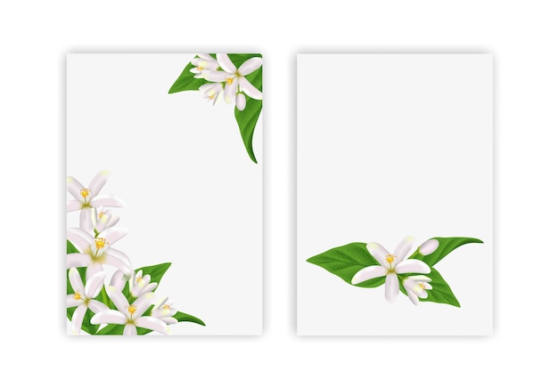 Vector set of greeting cards