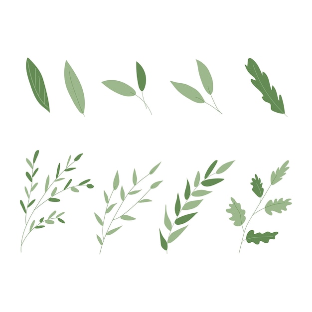 Vector set groene blaadjes