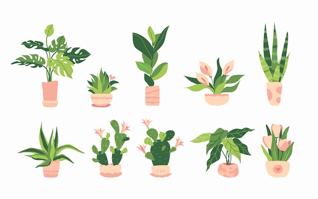 set groene planten in potten huisbloemen