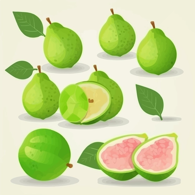 Set of Guava illustrations with a retro vibe