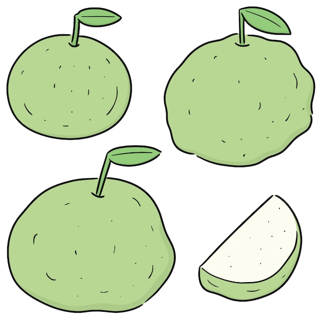 set of guava