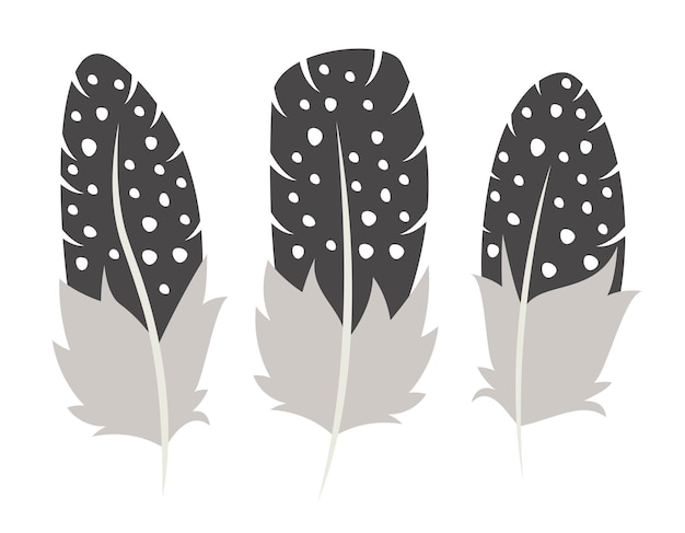 Set of guinea fowl feathers in flat style