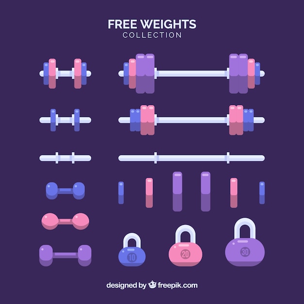 Vector set of gym elements with exercises tools