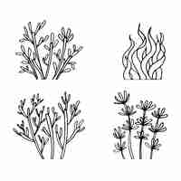 Vector set of hand drawing of decorative sea plant illustration vector