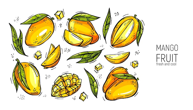 Set of hand drawing mango for labels menus design posters and printing