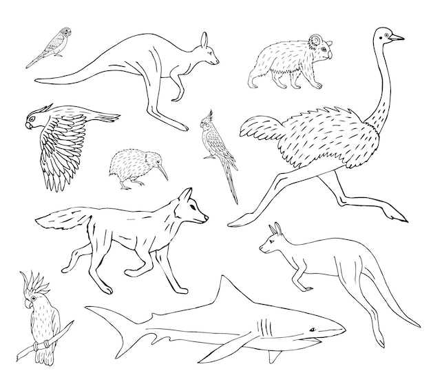 手描きのオーストラリアの野生動物のセット
