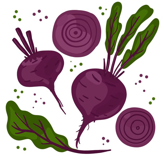 Set of hand drawn beet Bundle of fresh diet vegetarian cooking ingredients Flat cartoon style