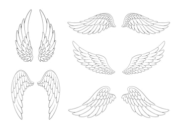Set Of Hand Drawn Bird Or Angel Wings Of Different Shape In Open Position  Contoured Doodle Wings Set Stock Illustration - Download Image Now - iStock