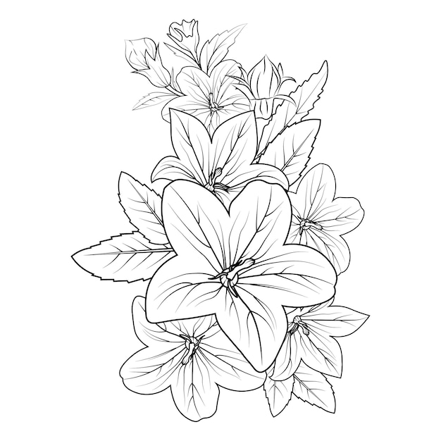 Set of hand-drawn black and white bellflowers bouquet, leaves, and buds coloring pages