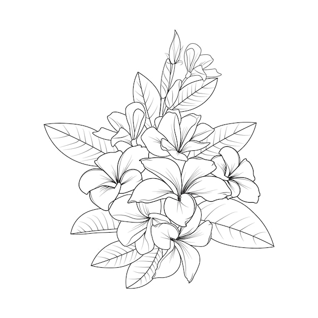 Set of hand-drawn black and white frangipani flower drawing, blossom plumeria flowers coloring page